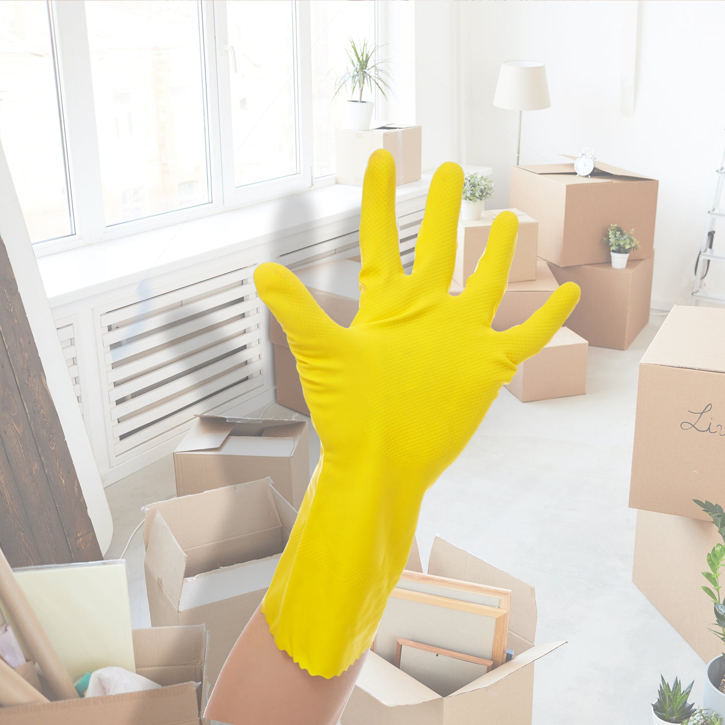 Move In/Move Out Cleaning for your House - Los Angeles