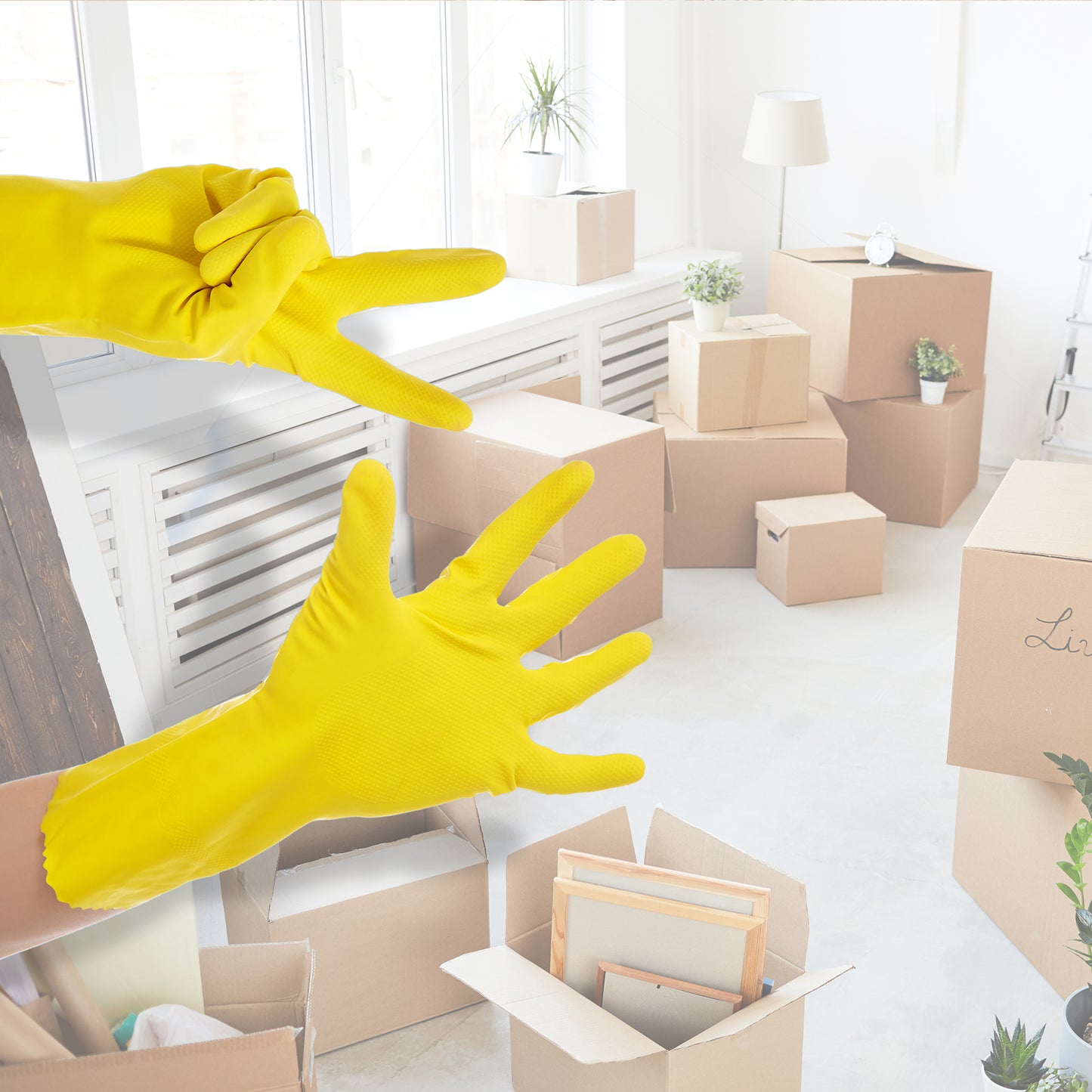 Move In/Move Out Cleaning for your House - Los Angeles