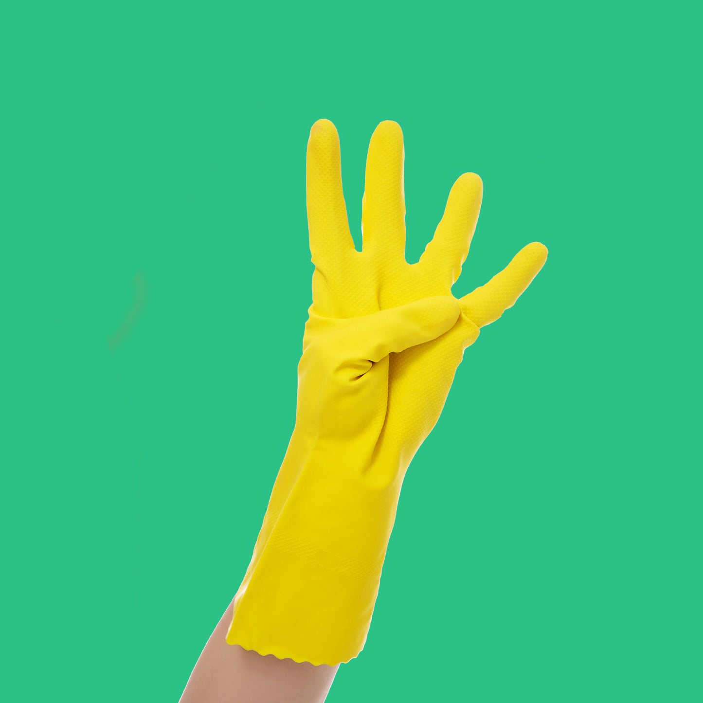 Green Cleaning for your House - Los Angeles