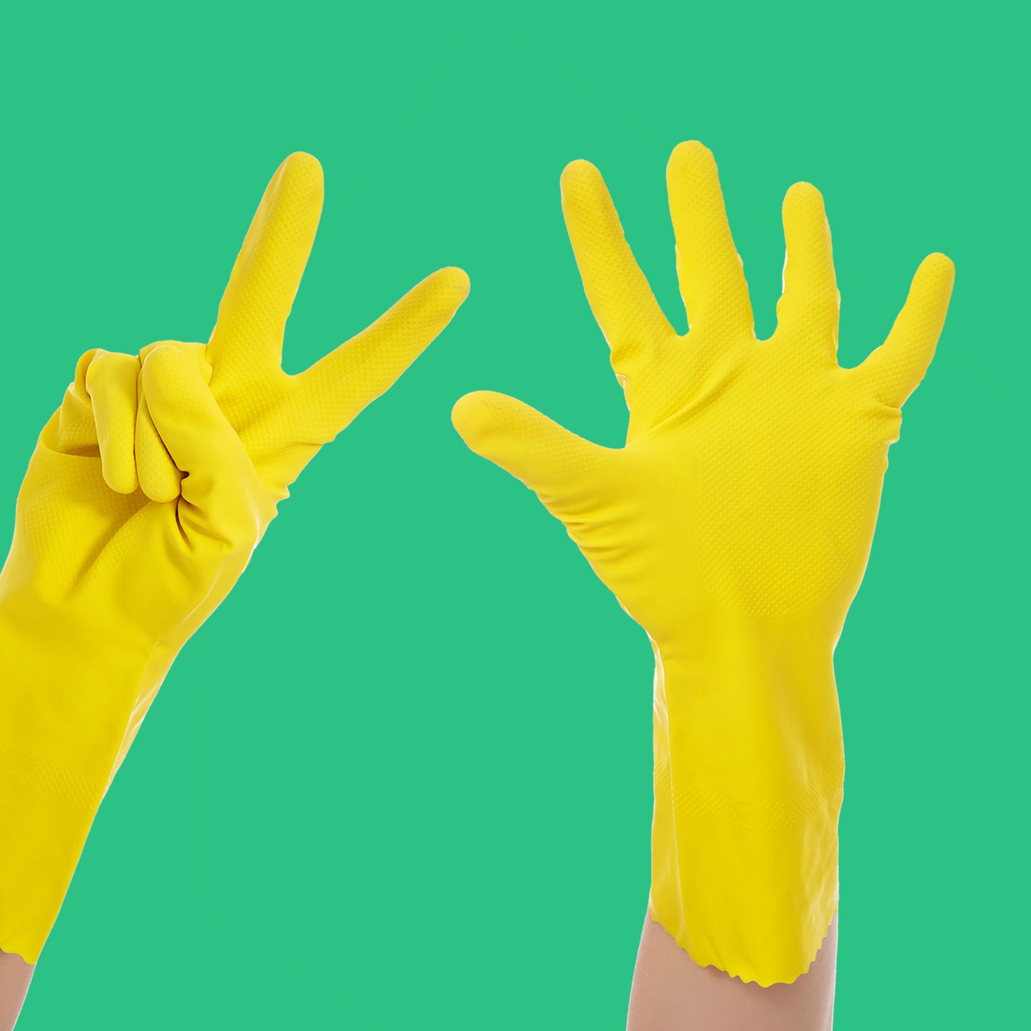 Green Cleaning for your House - Los Angeles