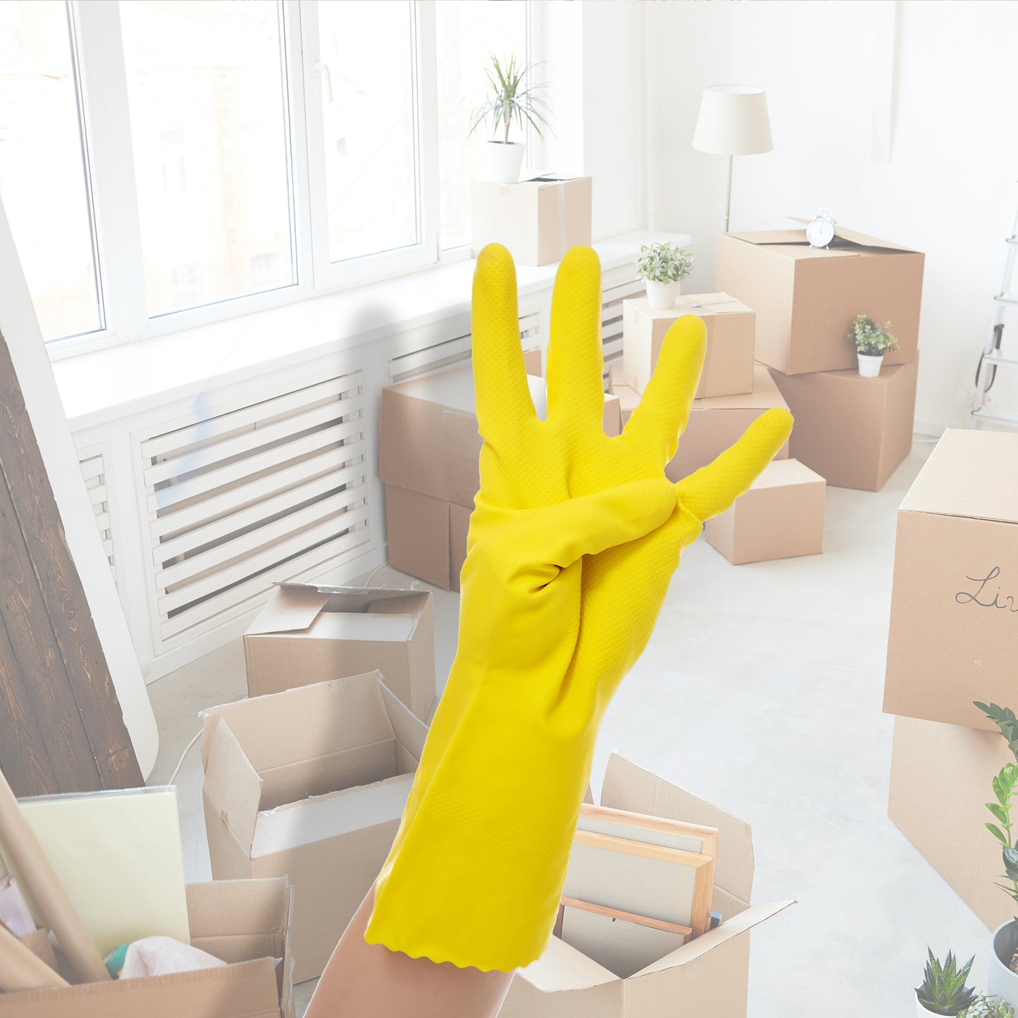 Move In/Move Out Cleaning for your House - Los Angeles