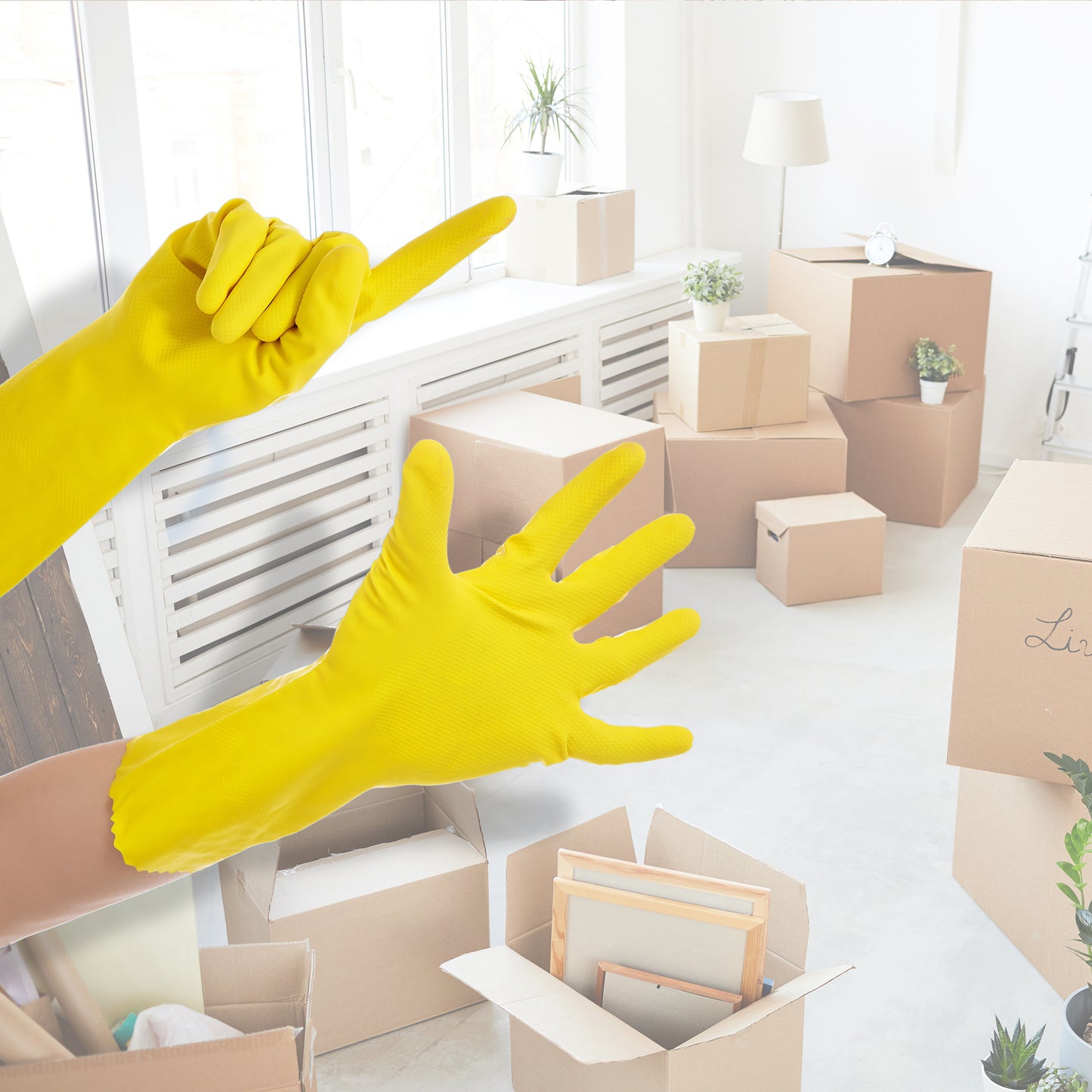 Move In/Move Out Cleaning for your House - Los Angeles